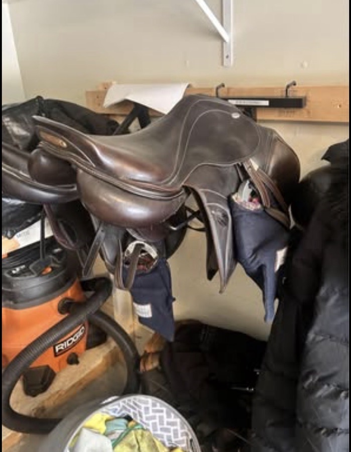KENTUCKY HORSEWEAR | 17" | 4.75" Tree Size | 2021