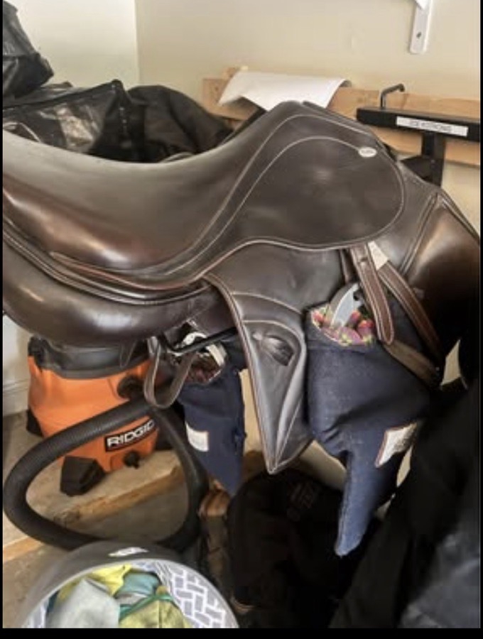 KENTUCKY HORSEWEAR | 17" | 4.75" Tree Size | 2021