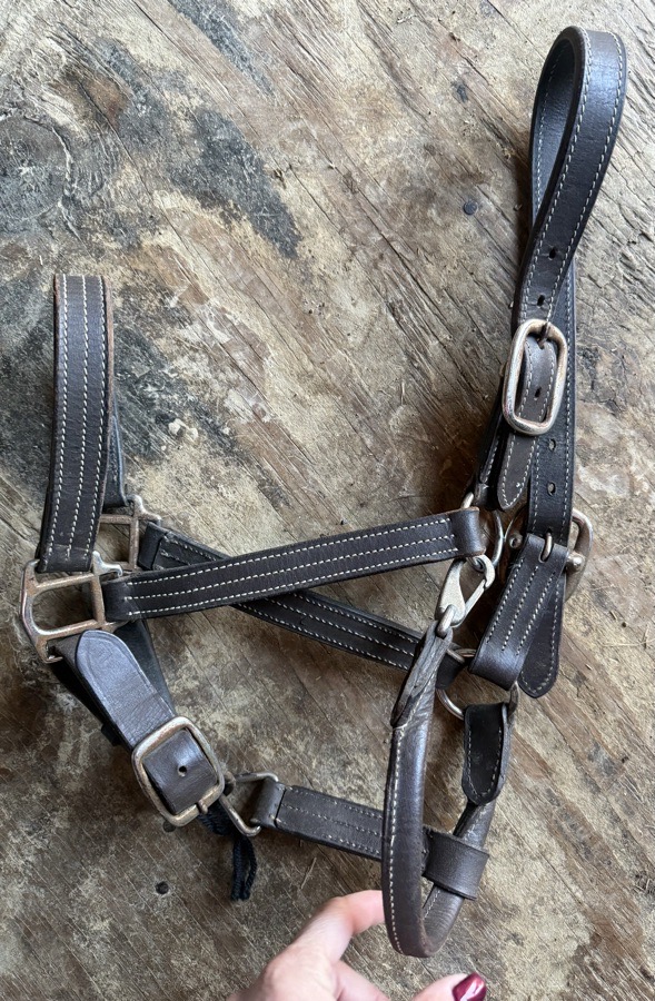 Full sized leather halter