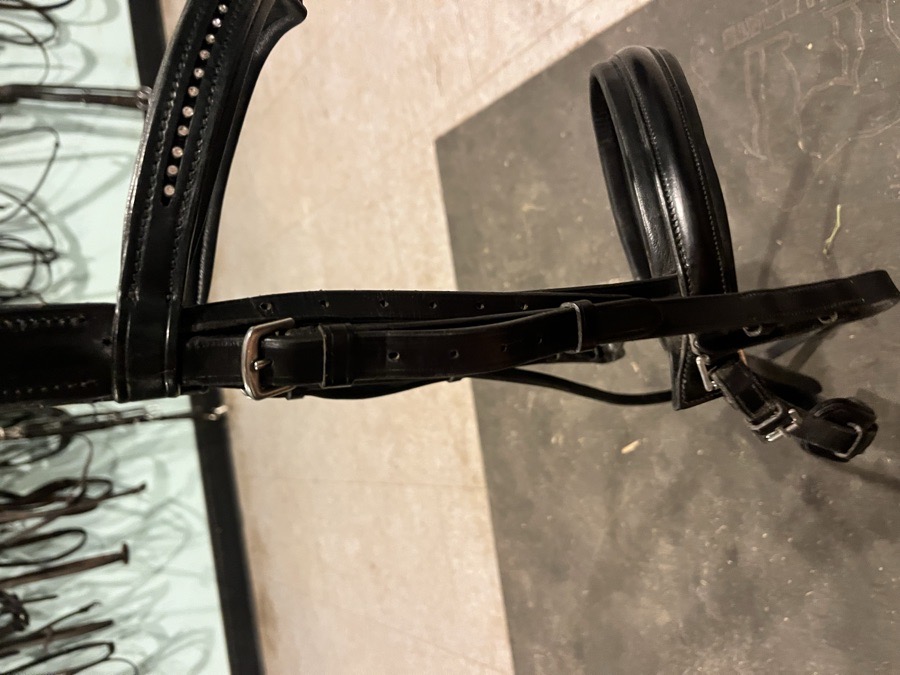 KL SELECT Bridle Horse