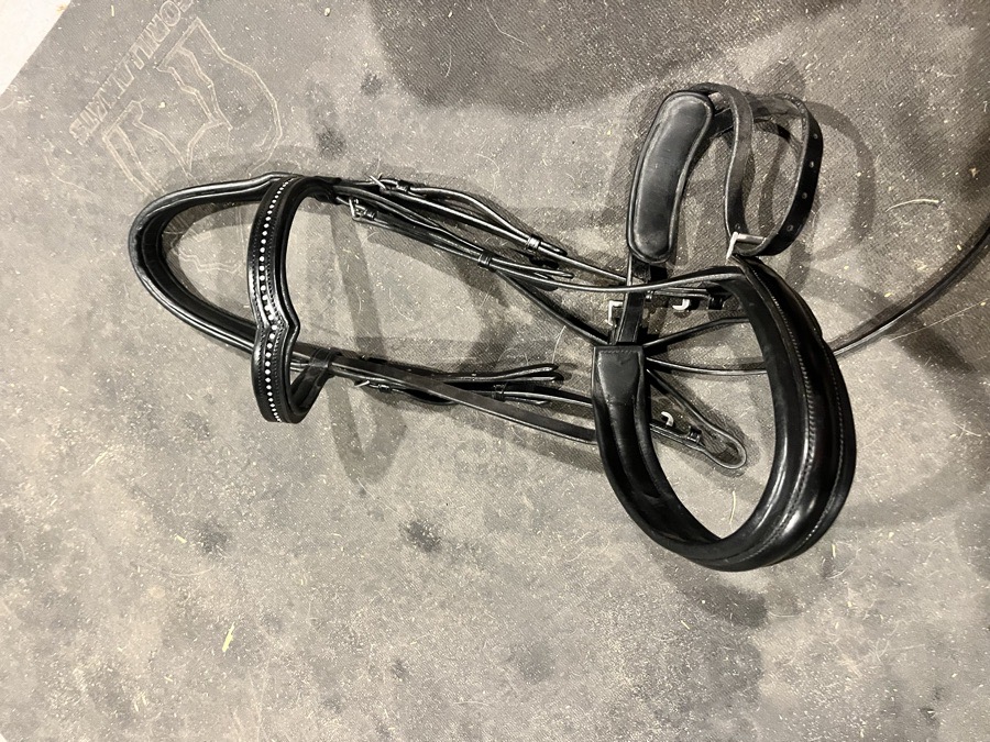 KL SELECT Bridle Horse
