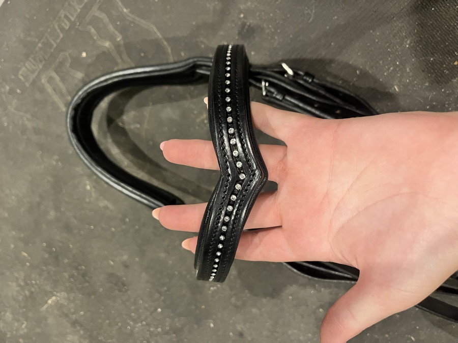 KL SELECT Bridle Horse