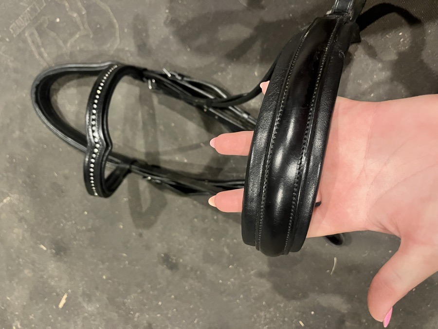 KL SELECT Bridle Horse