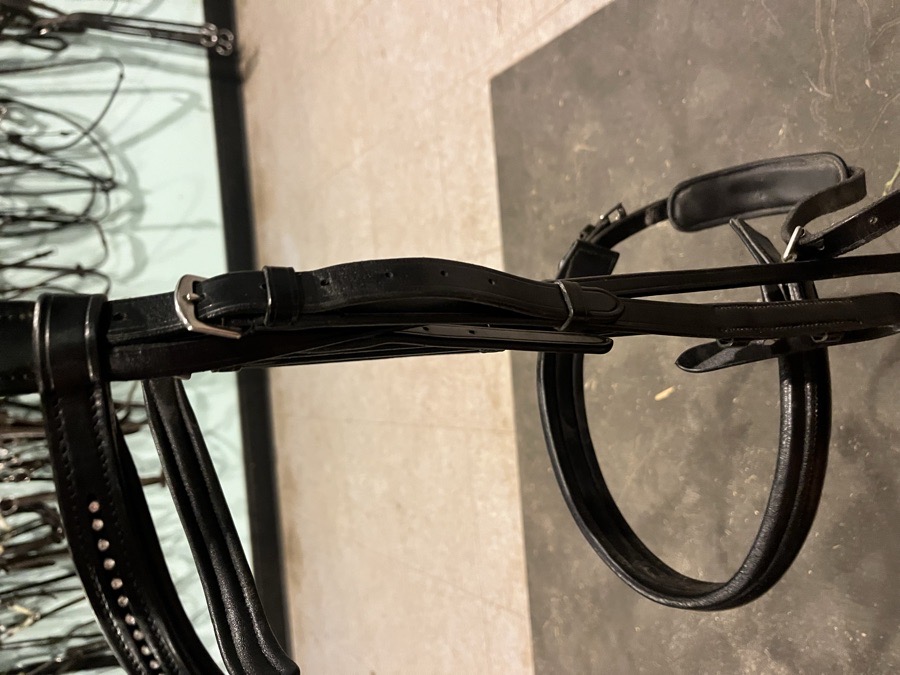 KL SELECT Bridle Horse