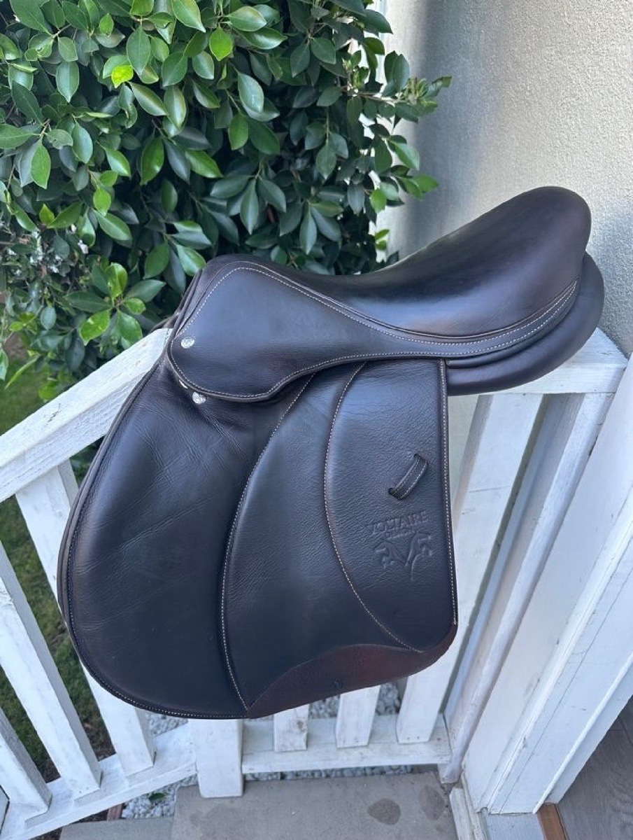 Palm Beach Voltaire 17”