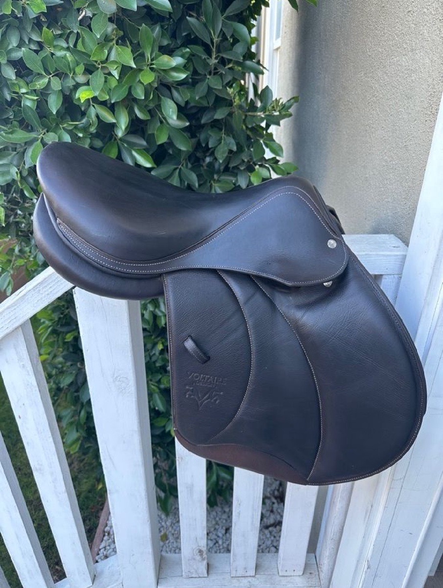 Palm Beach Voltaire 17”