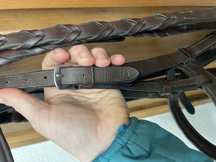 Cob Schooling Bridle