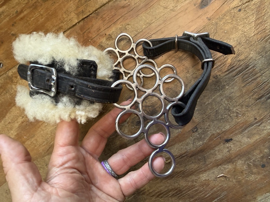 flower hackamore