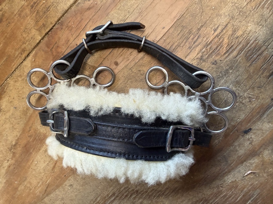 flower hackamore