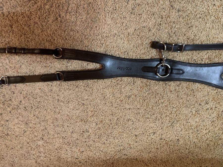 Ecorider Freedom Breastplate
