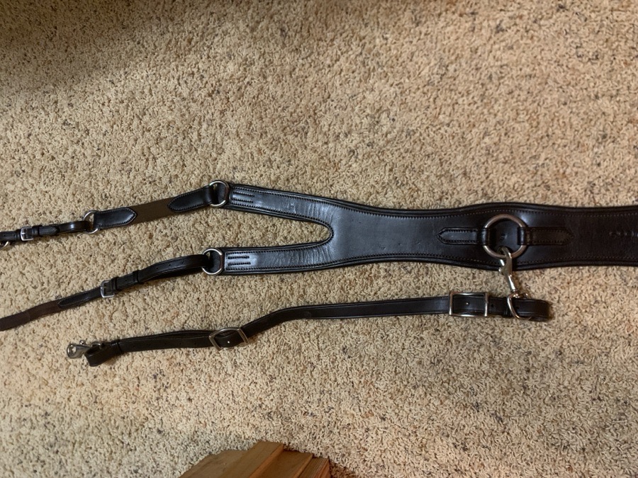 Ecorider Freedom Breastplate