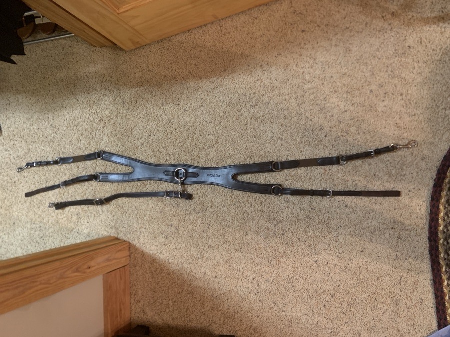 Ecorider Freedom Breastplate