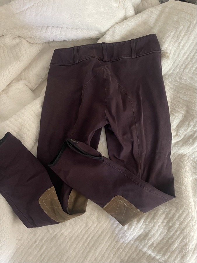 THE TAILORED SPORTSMAN Riding Pants - Breeches