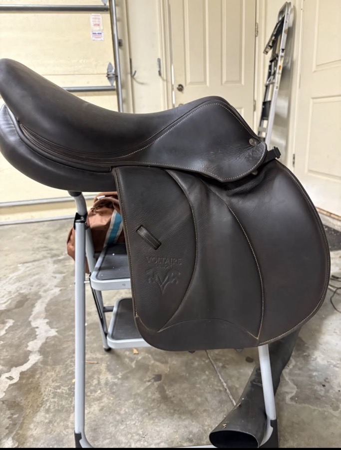 VOLTAIRE Palm Beach | 17" 2 | 4.5" Tree Size | 2021