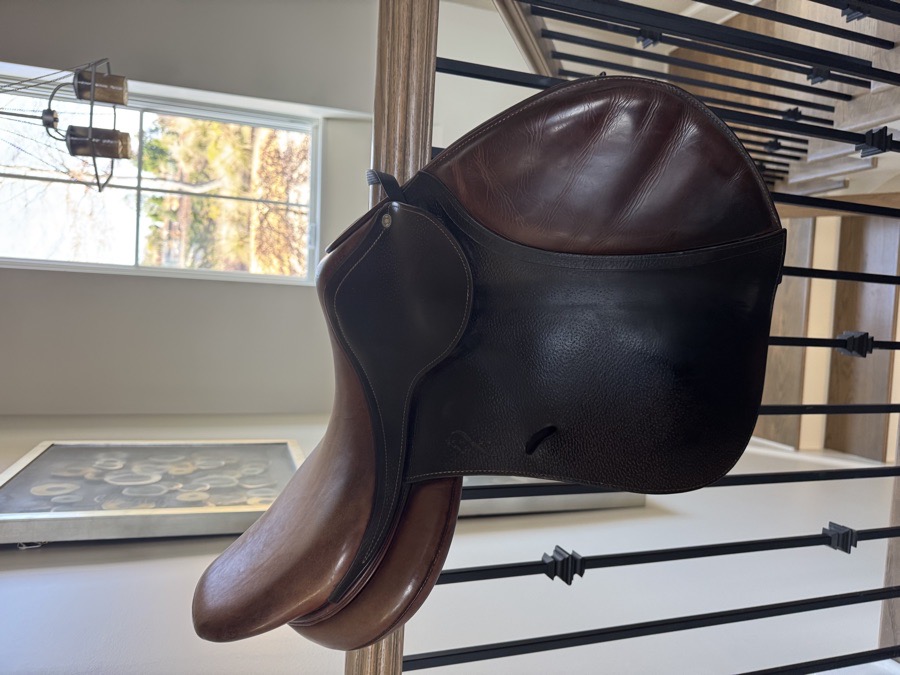 18” Antares Saddle
