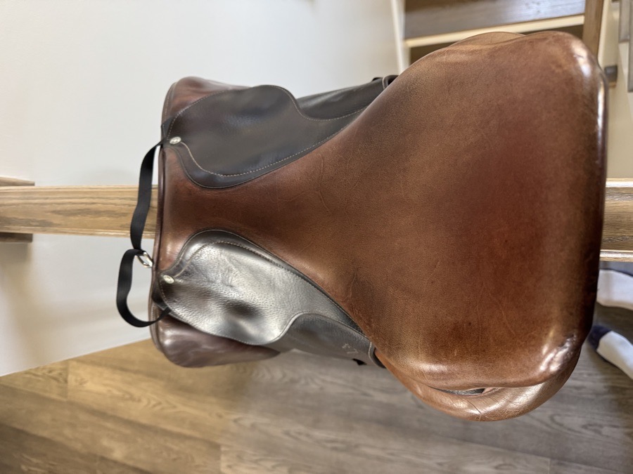 18” Antares Saddle