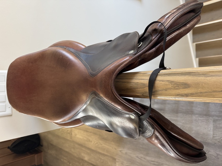 18” Antares Saddle