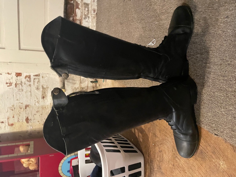 Mountain Horse Venice Field Boot JR. 