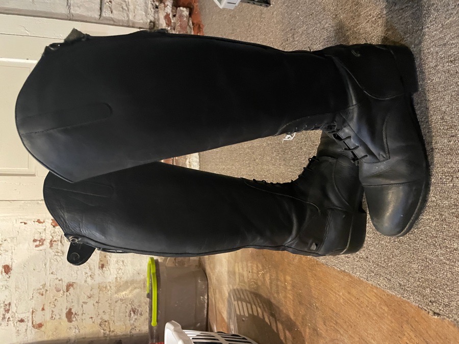 Mountain Horse Venice Field Boot JR. 