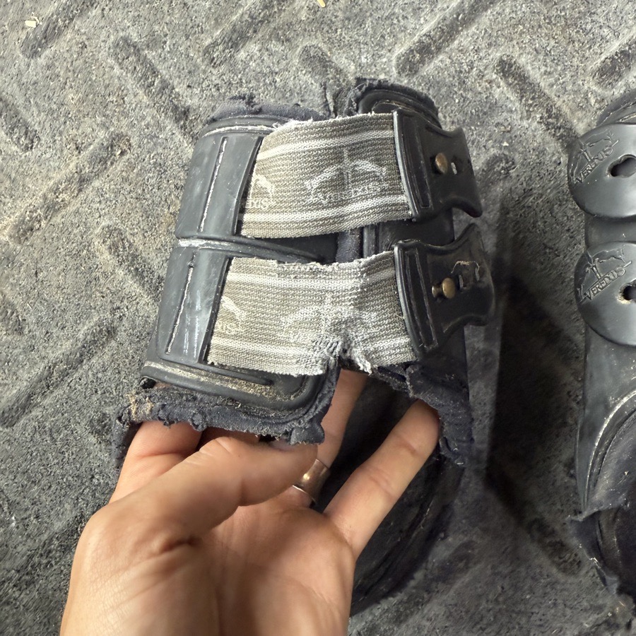 Medium Veredus Black Horseback Riding Hind Boots