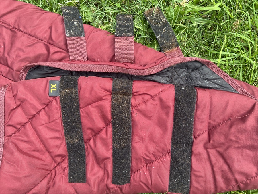 SCHNEIDER'S SADDLERY XL stable blanket neck