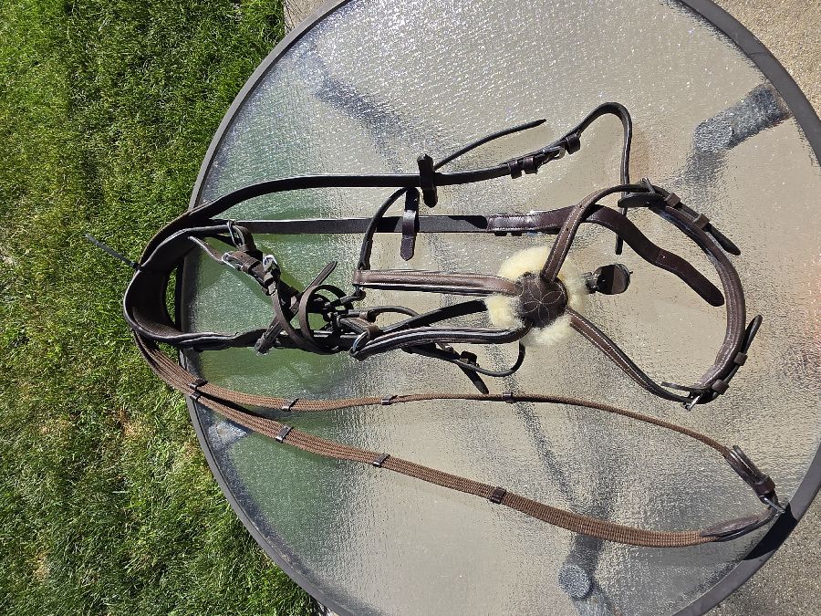 EXION Figure 8 Bridle Horse