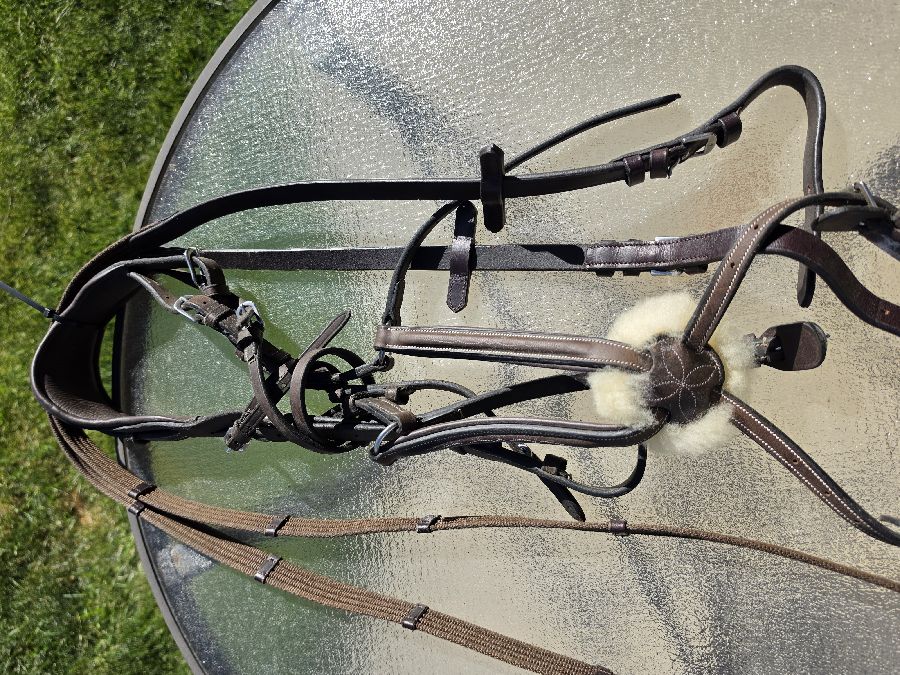 EXION Figure 8 Bridle Horse