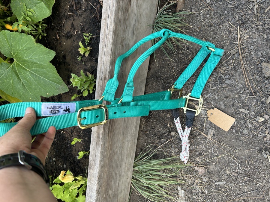 Large horse sized hybrid halter
