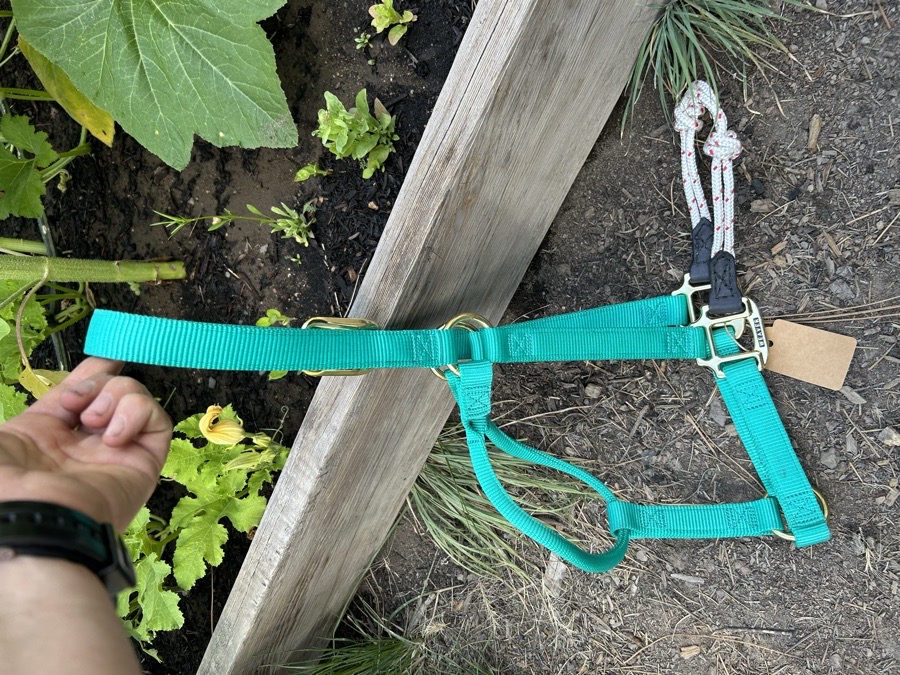Large horse sized hybrid halter