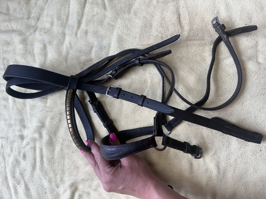 drop noseband bridle