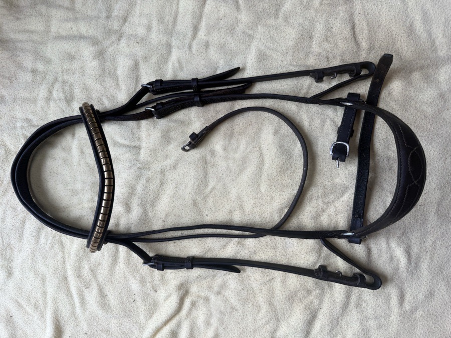 drop noseband bridle