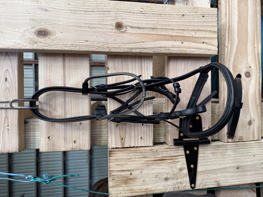 Black bridle with bling browband
