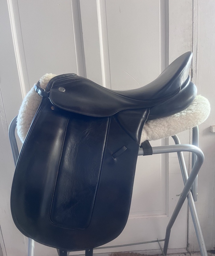 KIEFFER RHEIN AJ 17.5”