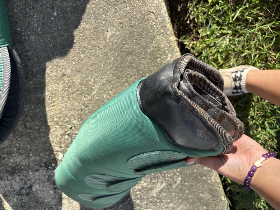 Dover shipping boots fronts and backs