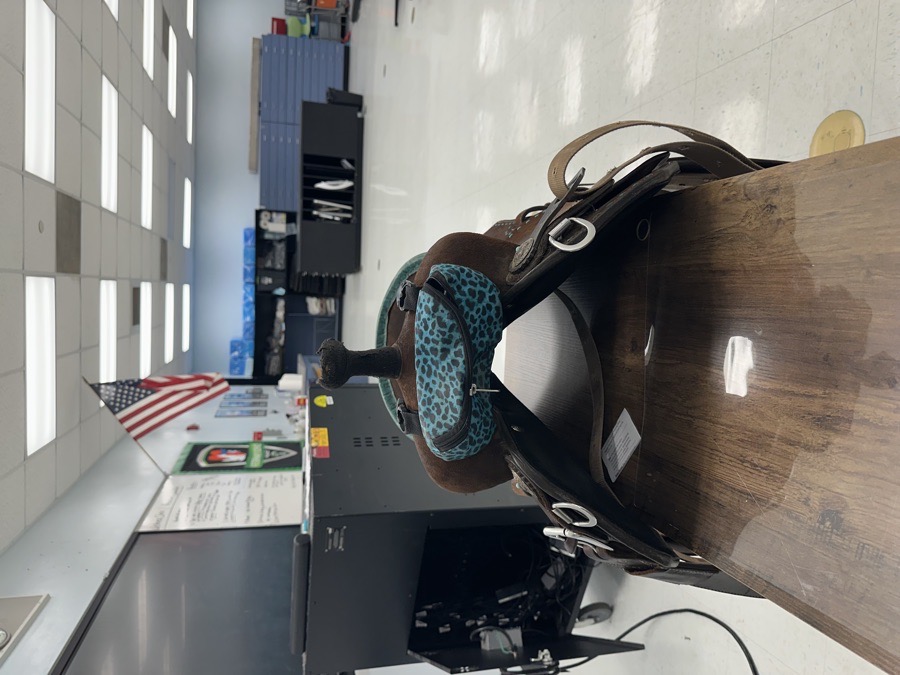 Double J custom pozzi pro 