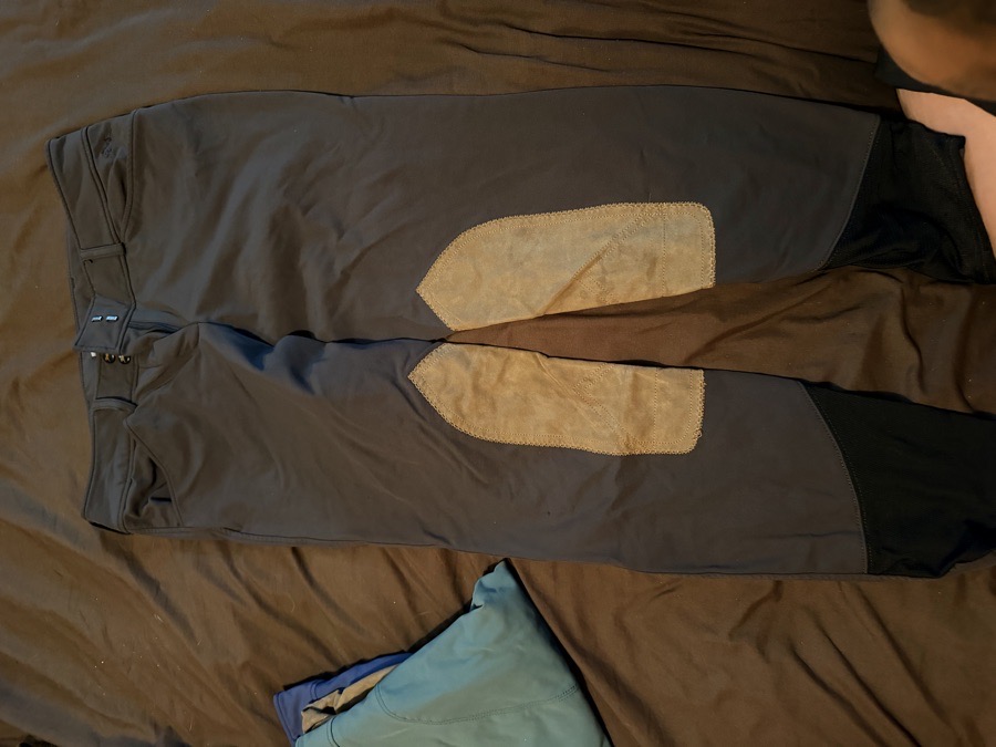 RJ CLASSICS Riding Pants - Breeches