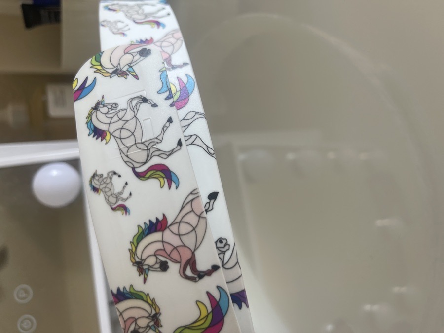 fun belt looking for new home