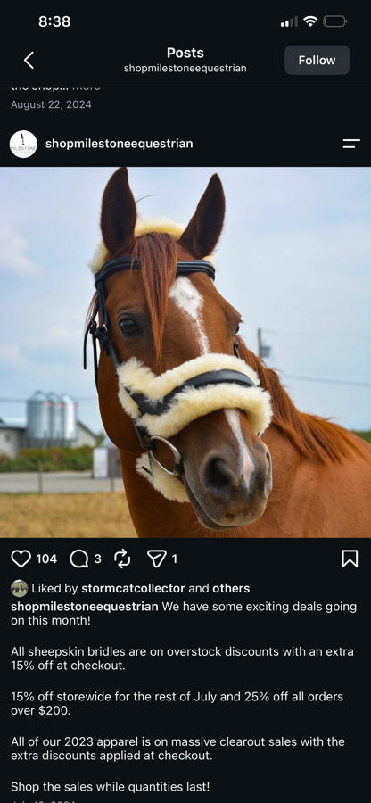 MILESTONE EQUESTRIAN | 2024