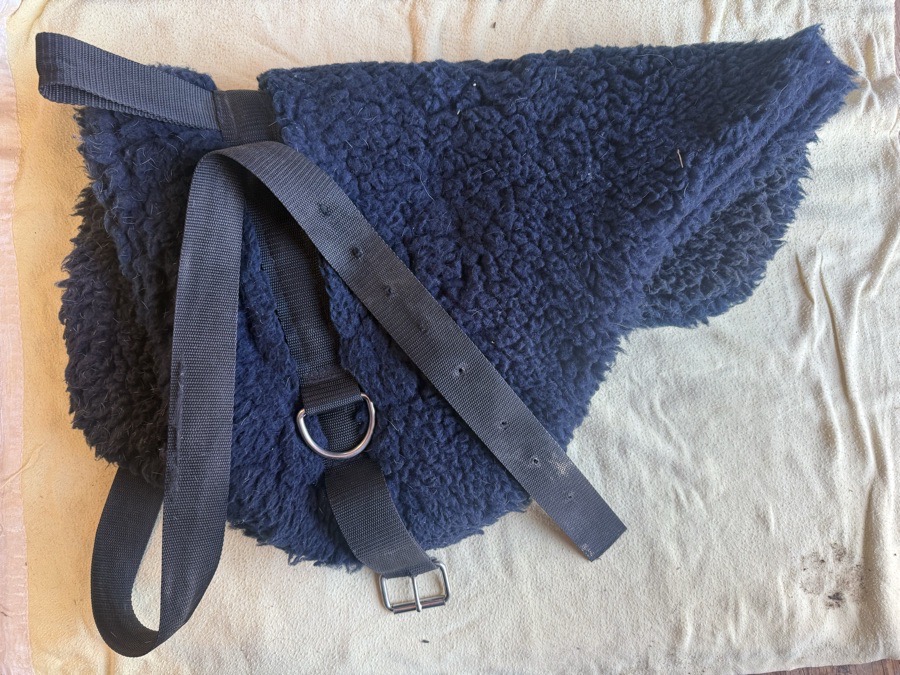bareback pad