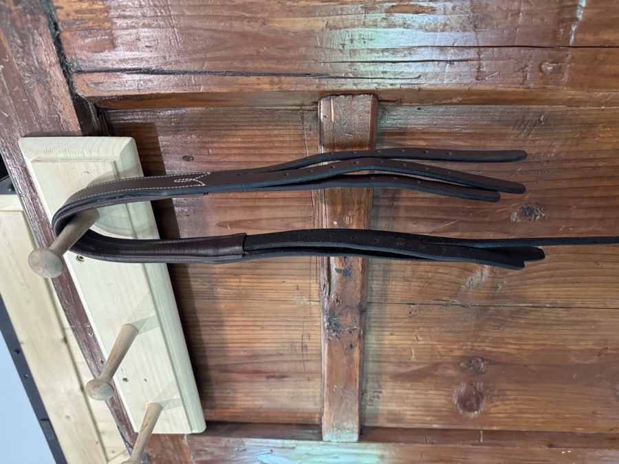 DOVER CIRCUIT Bridle Horse