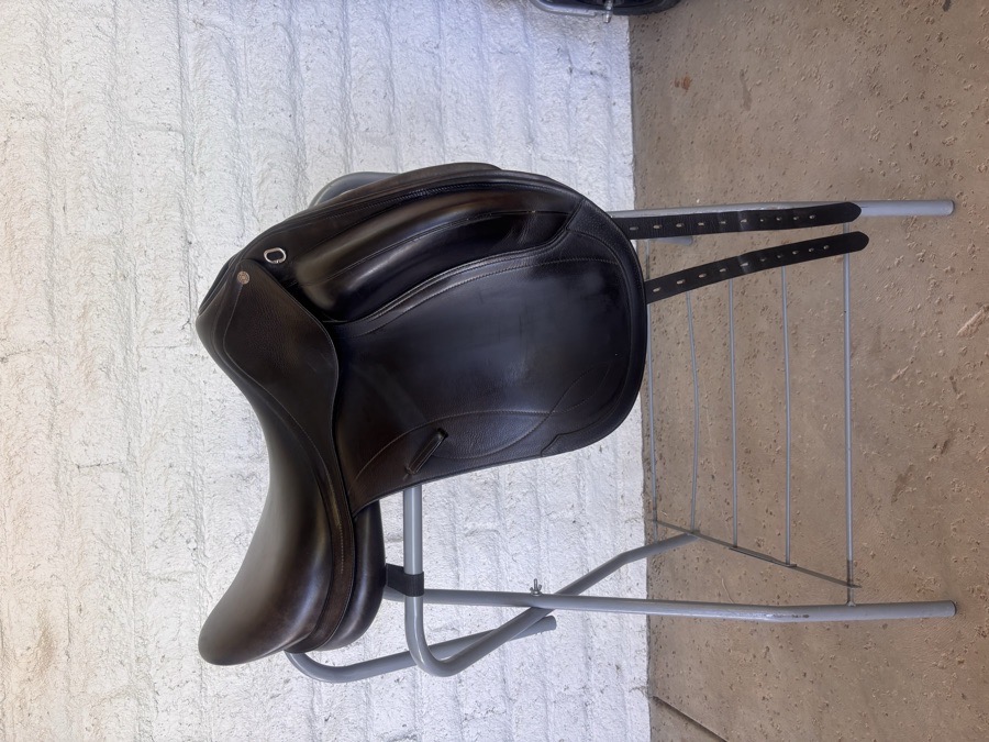 EQUIPE Olympia | 17.5" | Medium Wide (M+2) Tree Size