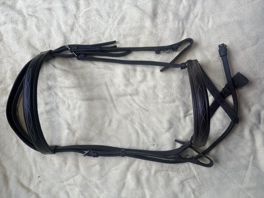 horse sized fancy stitch bridle