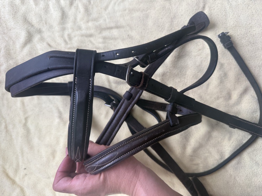 horse sized fancy stitch bridle