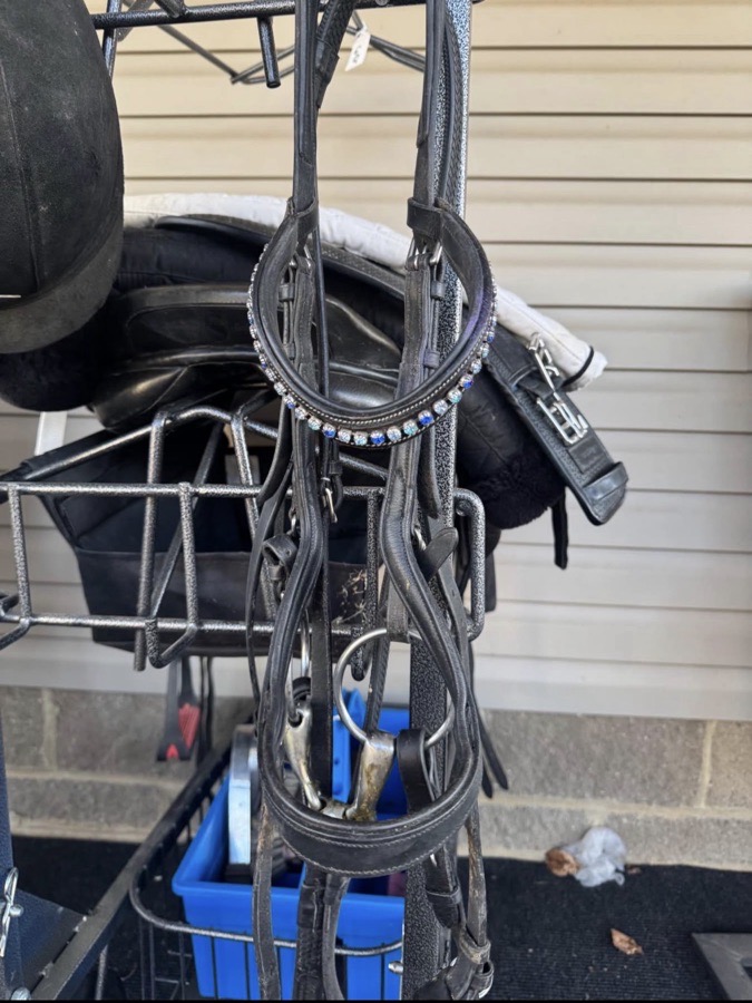 RAMBO MICKLEM Bridle Cob