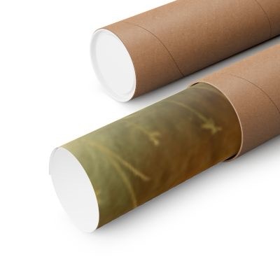 Horse Mother & Foal Matte Poster — Rustic Equestrian Wall Art