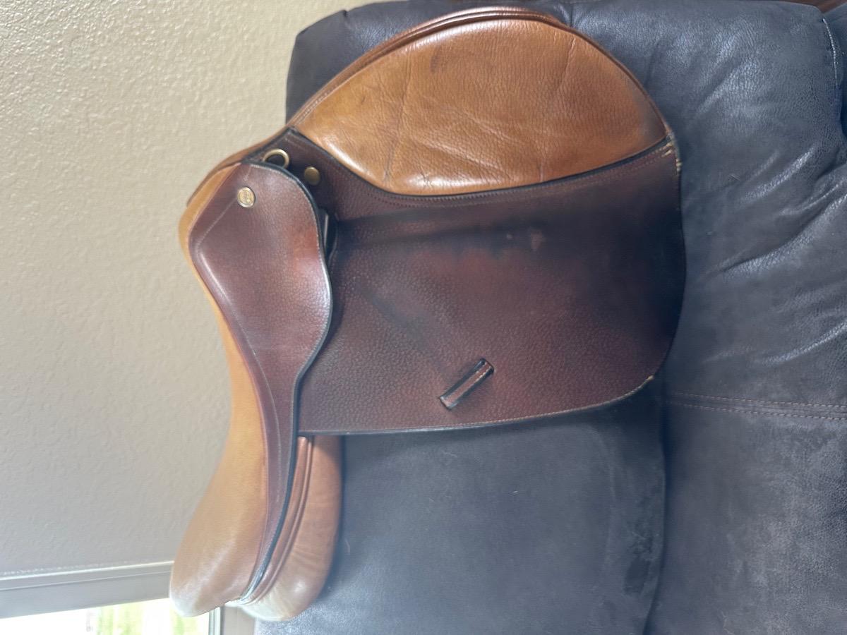 16 in Beval LTD Saddle 