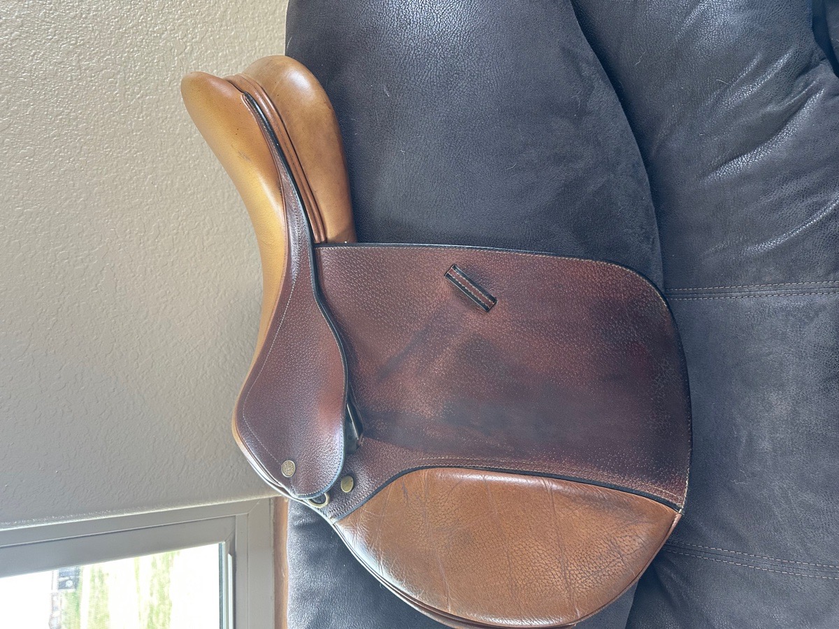 16 in Beval LTD Saddle 
