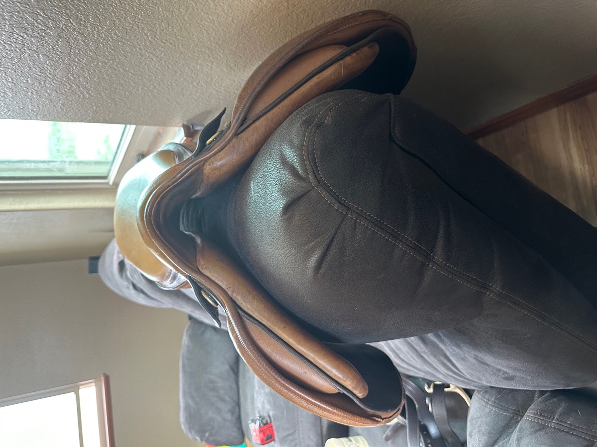 16 in Beval LTD Saddle