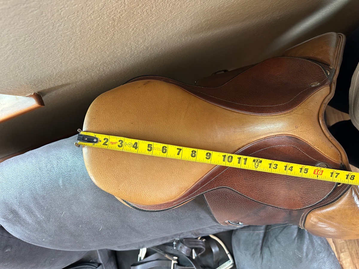 16 in Beval LTD Saddle