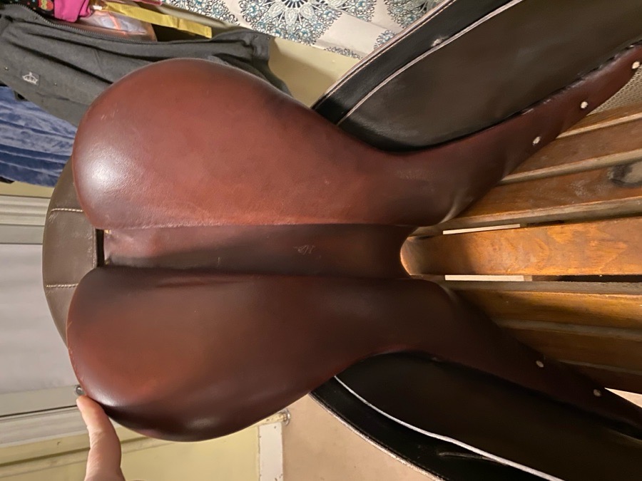 18” Collegiate AP saddle 